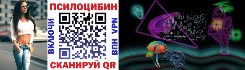 Галлюциногенные грибы мицелий Купино