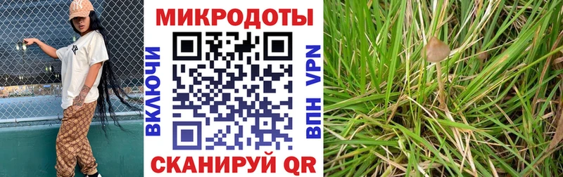 Галлюциногенные грибы Magic Shrooms  Купино 