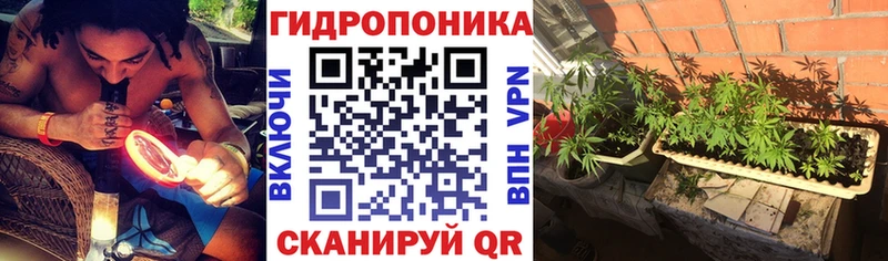 Каннабис семена  Купино 